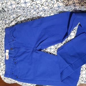 Levi Strauss 511 Slim Blue Mens 30×30 Jeans Hardly Worn.